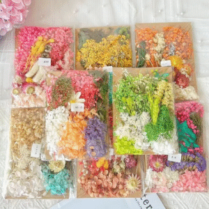 Flores secas