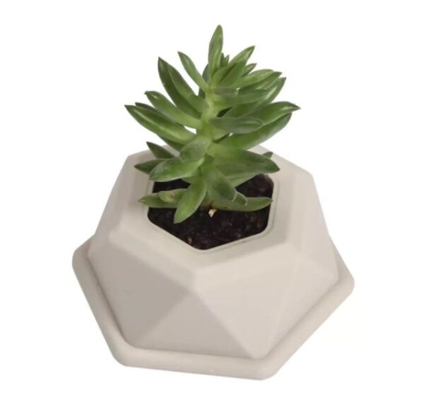 Molde maceta hexagonal 10cm - Imagen 2