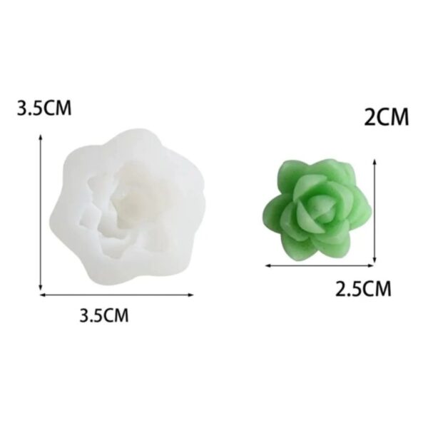 Molde suculenta mini modelo D8 - Imagen 2