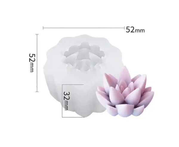 Molde suculenta mediana modelo A g8 - Imagen 2