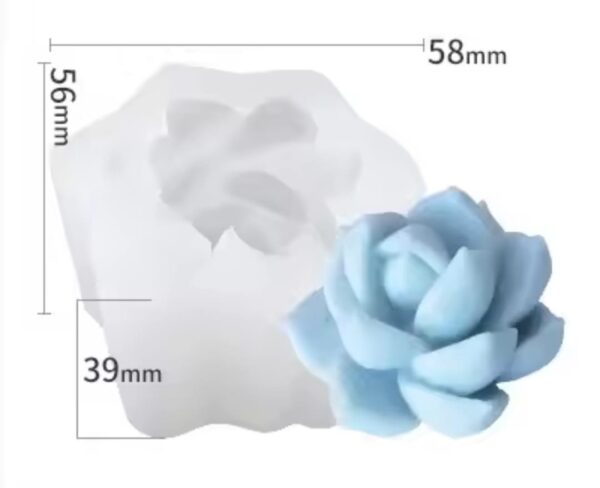 Molde suculenta mediana modelo E8 - Imagen 3