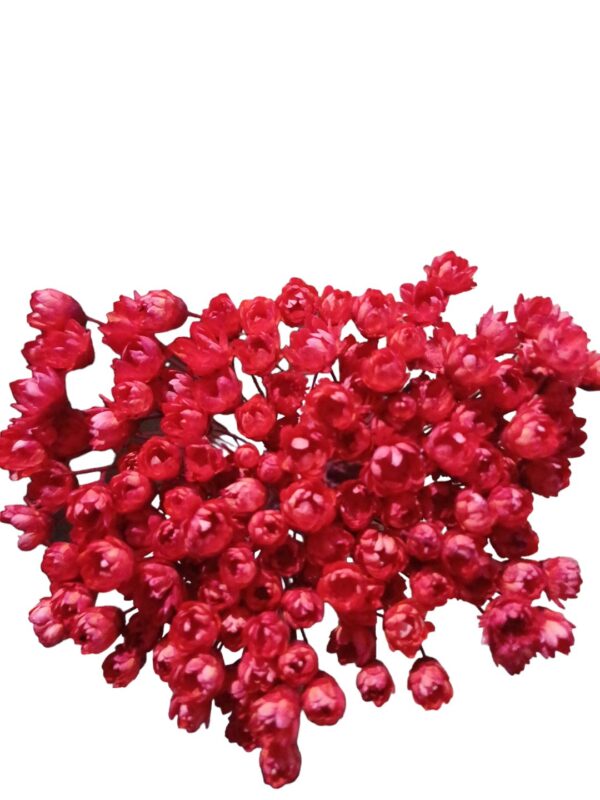 Ramo de diamantinas