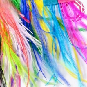 Plumas de colores 12 paquetes