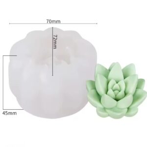 Molde suculenta grande modelo 1R5 H8