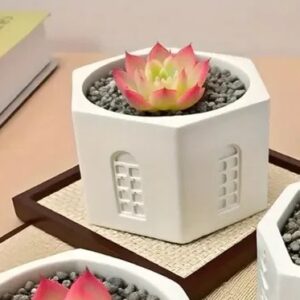 Molde maceta hexagonal