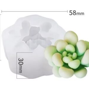 Molde de suculenta mediana modelo 2G3