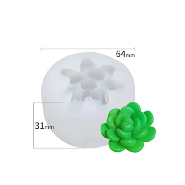 Molde de suculenta mediana modelo 10 - Imagen 2