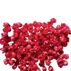 Ramo de diamantinas