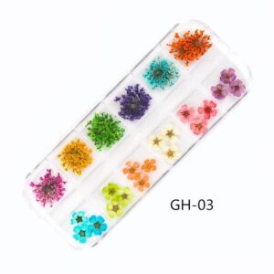 Set x 12 mix flores secas