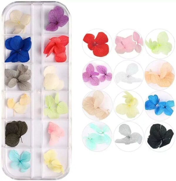 Set x 12 mix flores secas - Imagen 2