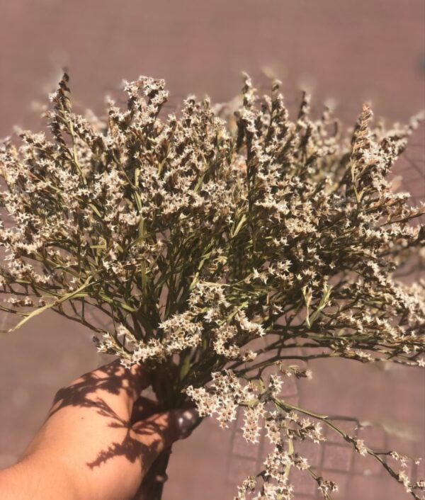 Ramo de flores estrellitas - Imagen 6