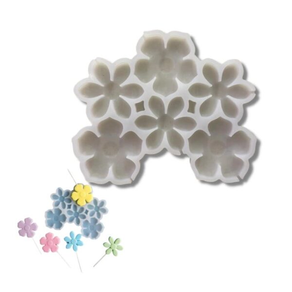 6 Flores botanica