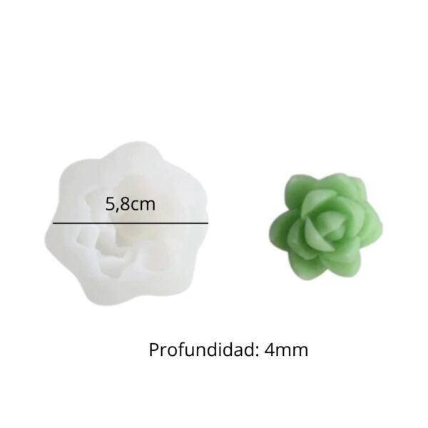 Molde suculenta mediana modelo B - Imagen 2