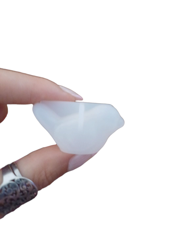 Molde pajarito mini