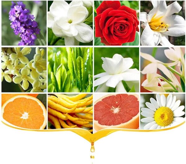 Esencias aceite aromatico jabon vela con gotero - Imagen 2